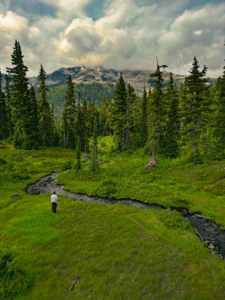 Ring Lake & Conflict Lake