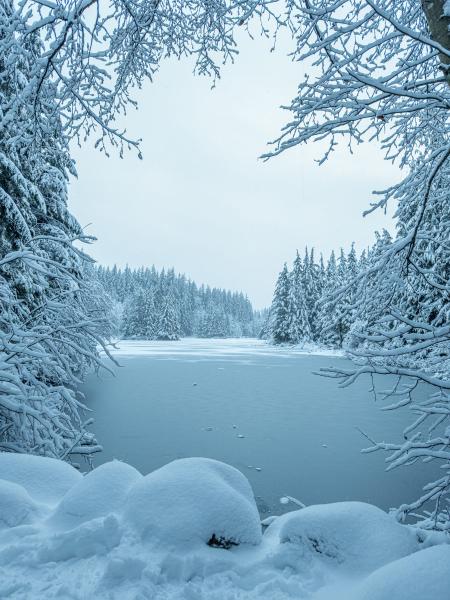 Rice Lake Loop Trail