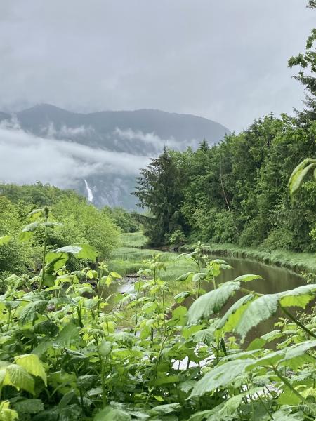 Squamish Estuary