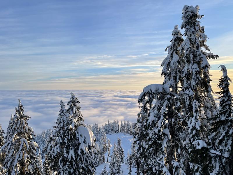 Hollyburn Peak