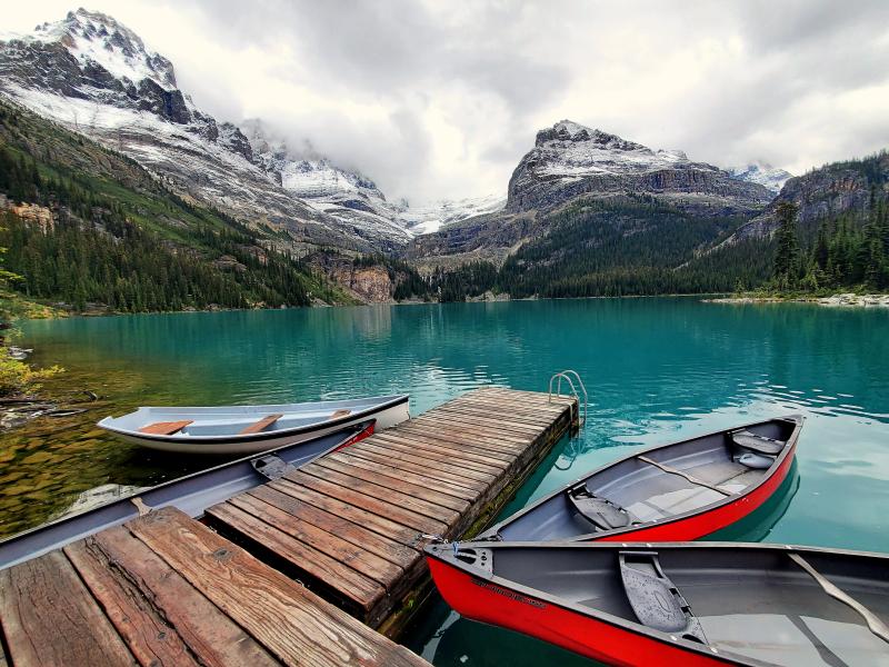 Lake O'Hara Shoreline Trail