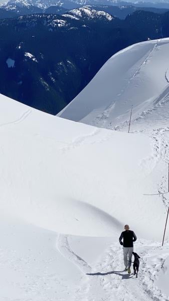 Mount Seymour Trail