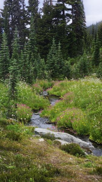 Panorama Ridge Hike