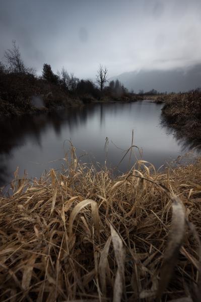 Alouette River Dykes Trail