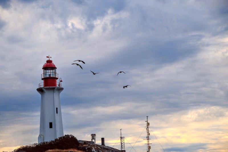 Lighthouse Park