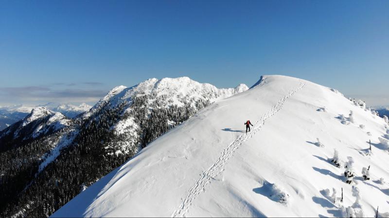 Mount Harvey Trail