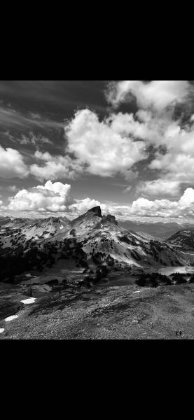 Panorama Ridge Trail