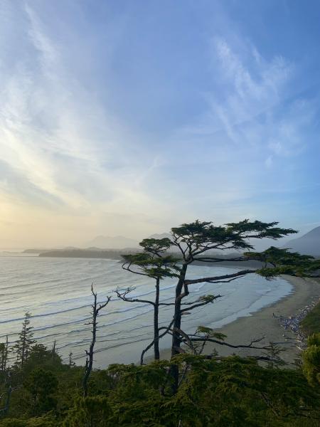 Cox Bay Lookout