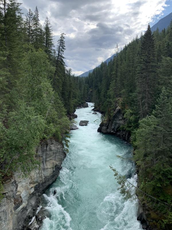 Robson Meadows River Loop