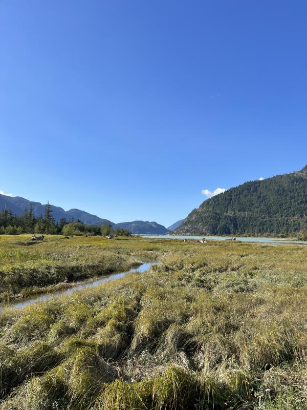 Estuary Trail