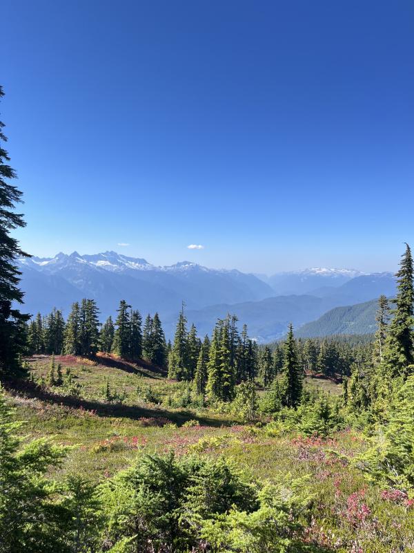 Elfin Lakes Trail