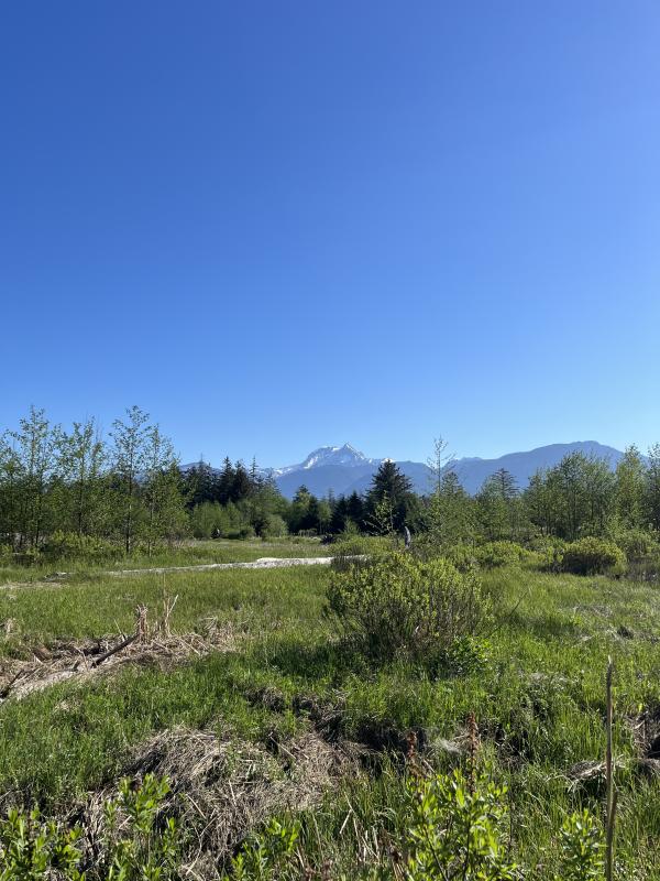 Estuary Trail