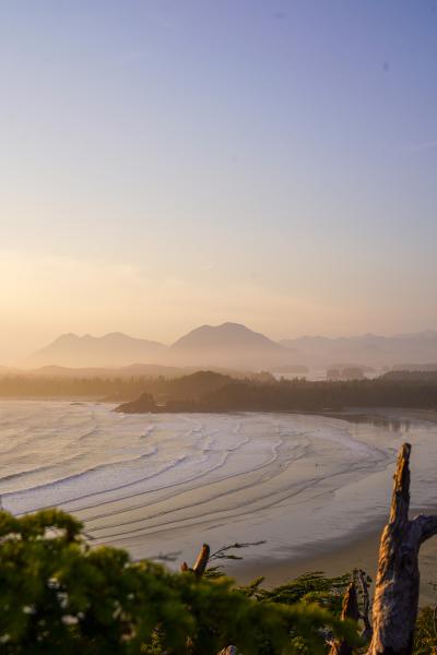 Cox Bay Lookout