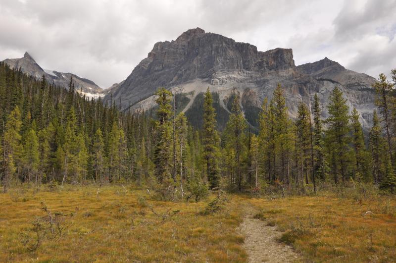 Emerald Lake