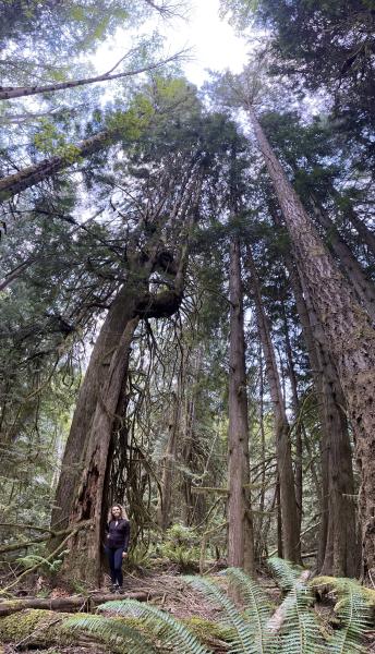 Gowlland Tod Provincial Park