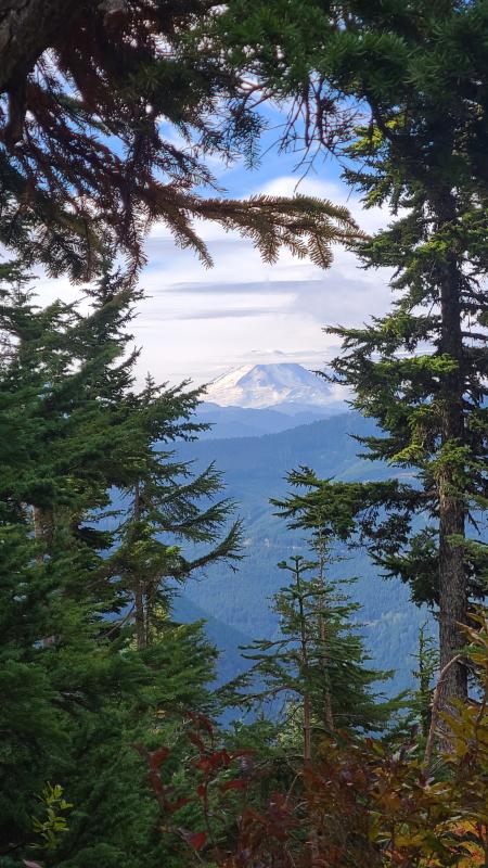 Cheam Peak Trail