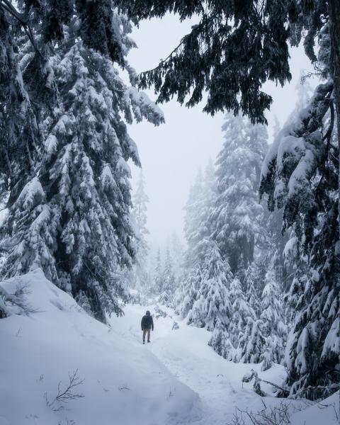 Mt. Seymour