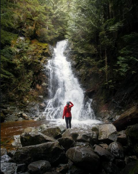 Sawblade Falls