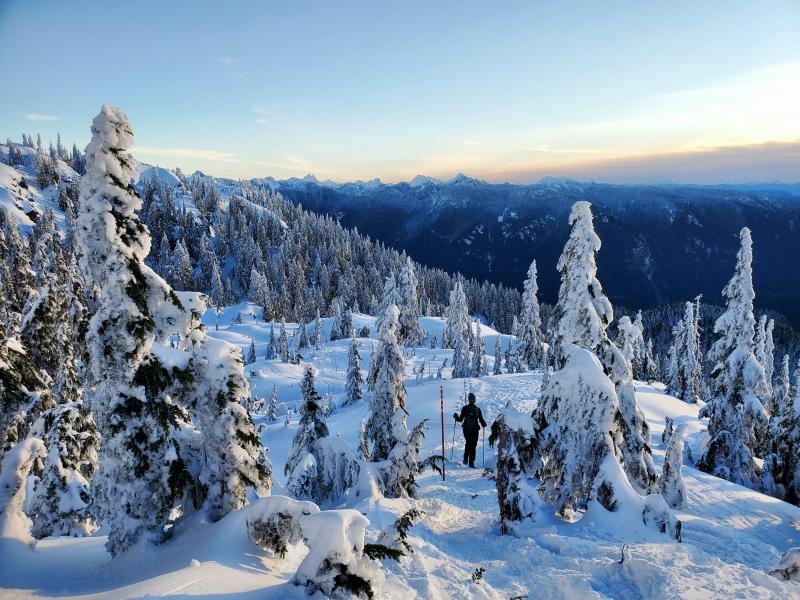 Seymour Mountain Trail