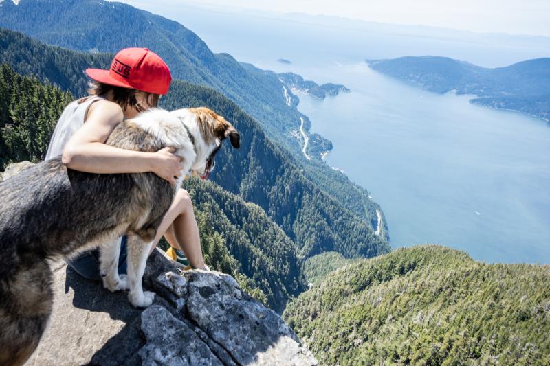 St Marks Summit