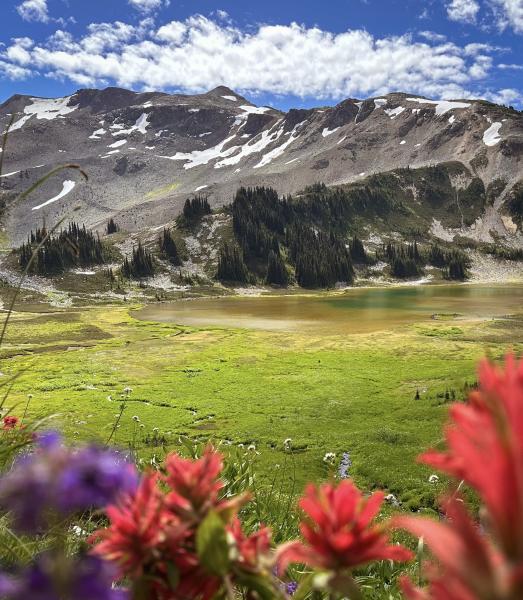 Panorama Ridge Trail