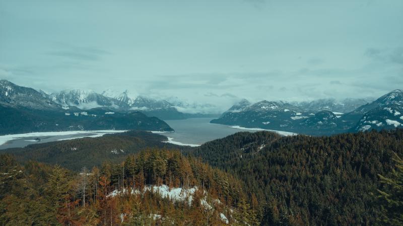 Hunter Logging Road