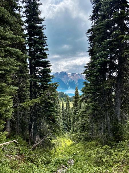 Garibaldi National Park