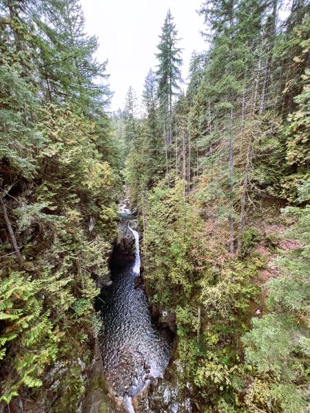 Lynn Canyon Loop