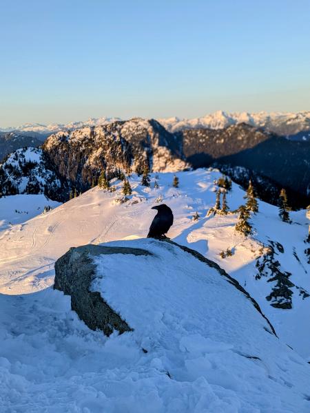 Mt Seymour, Pump Peak