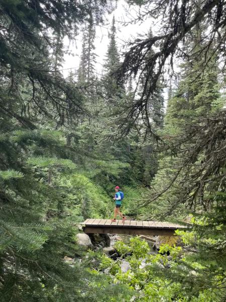 Taylor Meadows Trail