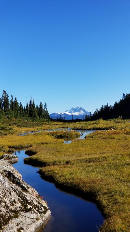 Brandywine Meadows