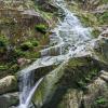 Floods Fall Trail