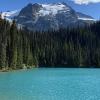 Joffre Lakes Park, middle lake