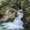 Lynn Canyon Trail