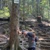 Grouse Grind