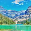 Lake O hara