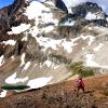 Birkenhead peak