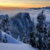 Mount Seymour Trail