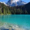 Joffre lake trail