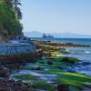 Stanley Park Seawall