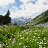 Mount Rohr via Marriot Basin