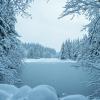 Rice lake loop trail