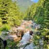 Golden Ears Summit Trail