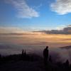 Mt. Seymour Trail