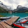 Lake O'Hara Shoreline trail