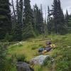 Panorama Ridge Hike