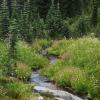 Panorama Ridge Hike