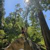 Shannon Falls Lookout