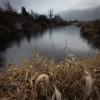 Alouette River Dykes Trail