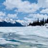 Garibaldi Lake Hike